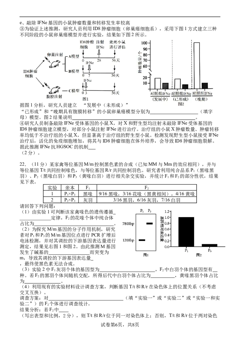 高三开学考试生物试卷202402_2024年3月_013月合集_2024届江苏省扬州中学高三下学期阶段练习_江苏省扬州中学2024届高三下学期阶段练习生物