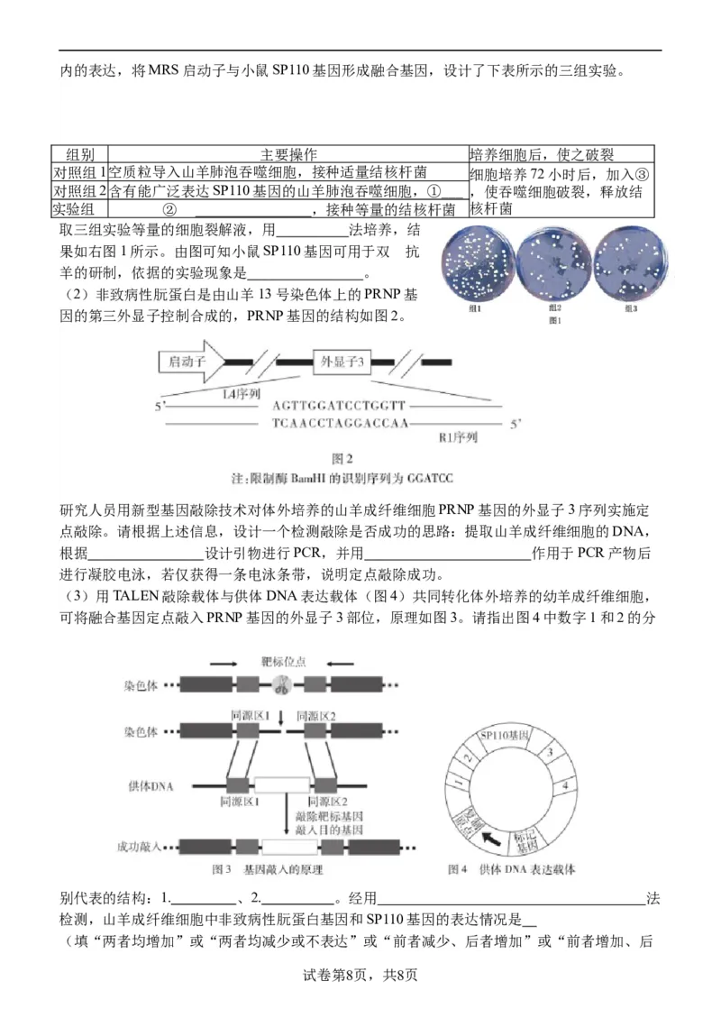 高三开学考试生物试卷202402_2024年3月_013月合集_2024届江苏省扬州中学高三下学期阶段练习_江苏省扬州中学2024届高三下学期阶段练习生物