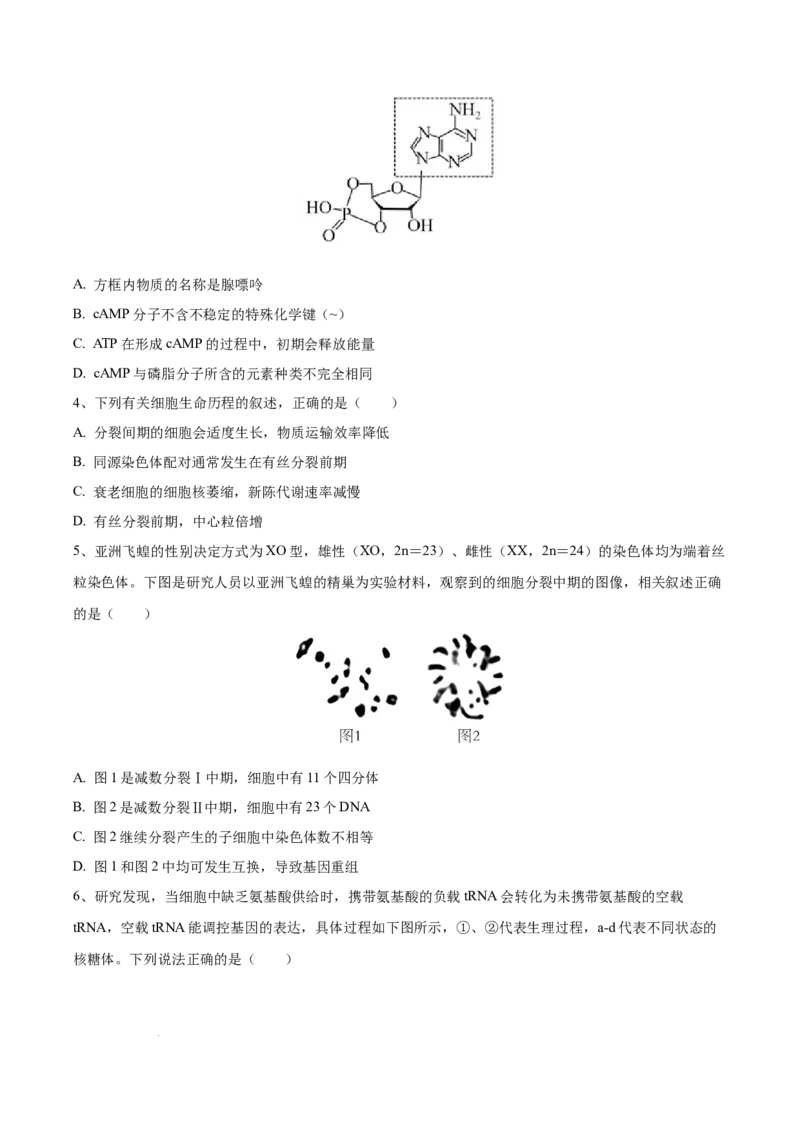高三生物开学摸底考（贵州、安徽、甘肃适用，16+5题型）（考试版）_2024年4月_其他_2023-2024学年高三下学期开学摸底考试卷_2023-2024学年高三生物下学期开学摸底考试卷