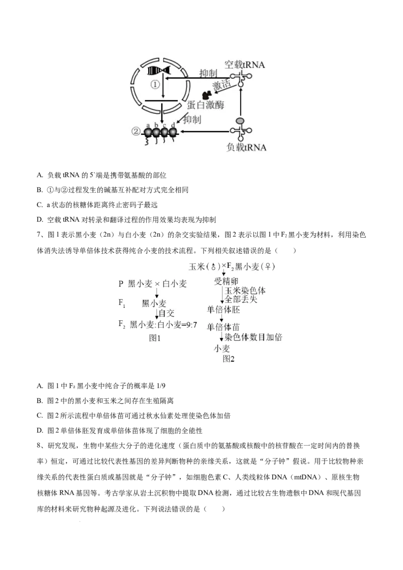 高三生物开学摸底考（贵州、安徽、甘肃适用，16+5题型）（考试版）_2024年4月_其他_2023-2024学年高三下学期开学摸底考试卷_2023-2024学年高三生物下学期开学摸底考试卷