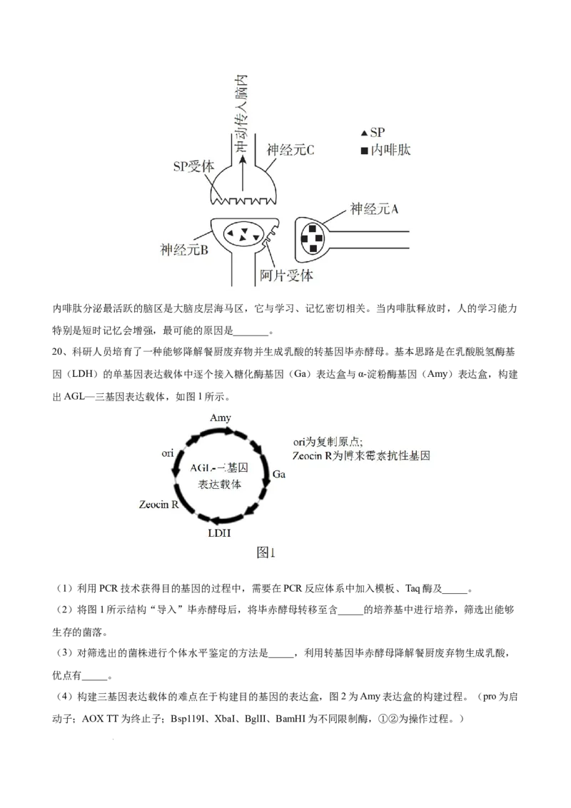高三生物开学摸底考（贵州、安徽、甘肃适用，16+5题型）（考试版）_2024年4月_其他_2023-2024学年高三下学期开学摸底考试卷_2023-2024学年高三生物下学期开学摸底考试卷