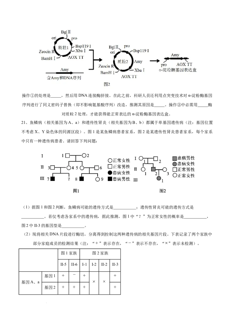 高三生物开学摸底考（贵州、安徽、甘肃适用，16+5题型）（考试版）_2024年4月_其他_2023-2024学年高三下学期开学摸底考试卷_2023-2024学年高三生物下学期开学摸底考试卷
