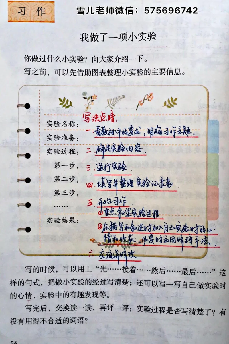 小学三年级下册-部编版语文园地四课预习笔记_小学1-6年级全部试卷_语文_三年级_3-8-2、小学三年级语文下册_3-8-2-1、学习资料、复习、知识点、归纳汇总_部编版