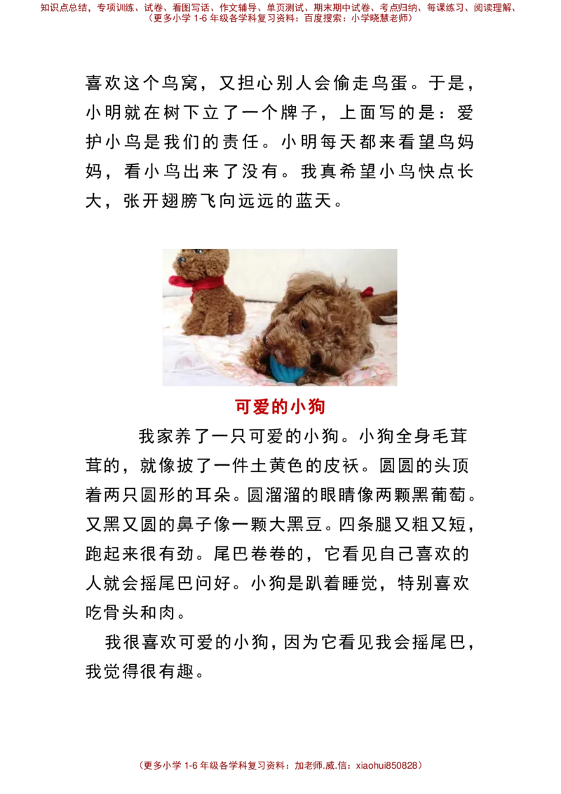 小学一年级下册看图写话_小学1-6年级全部试卷_语文_一年级_3-6-2、小学一年级语文下册_3-6-2-2、练习题、作业、试题、试卷_部编（人教）版_专项练习