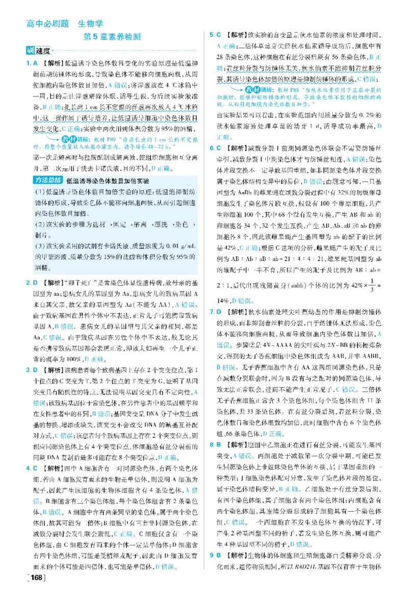 第5章基因突变及其他变异(1)_生物_2026版高中必刷题生物人教版_2026春高中必刷题生物必修2RJ_2026版高中《必刷题》教材同步版（生物）（必修2）