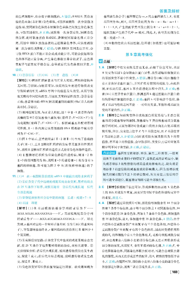 第5章基因突变及其他变异(1)_生物_2026版高中必刷题生物人教版_2026春高中必刷题生物必修2RJ_2026版高中《必刷题》教材同步版（生物）（必修2）