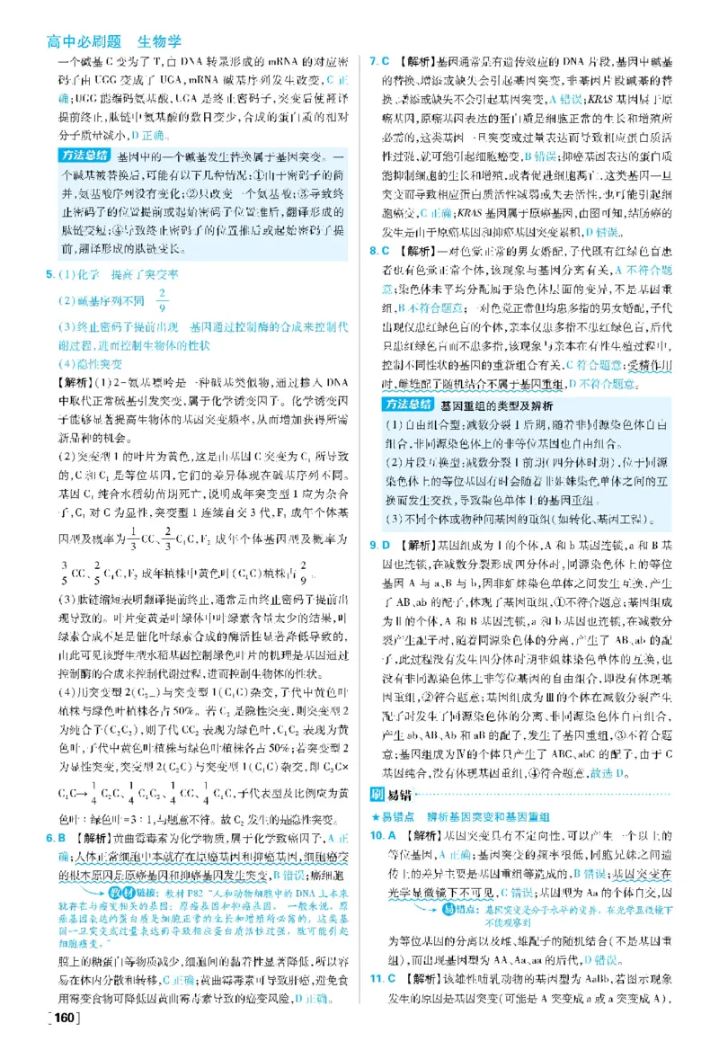 第5章基因突变及其他变异(1)_生物_2026版高中必刷题生物人教版_2026春高中必刷题生物必修2RJ_2026版高中《必刷题》教材同步版（生物）（必修2）