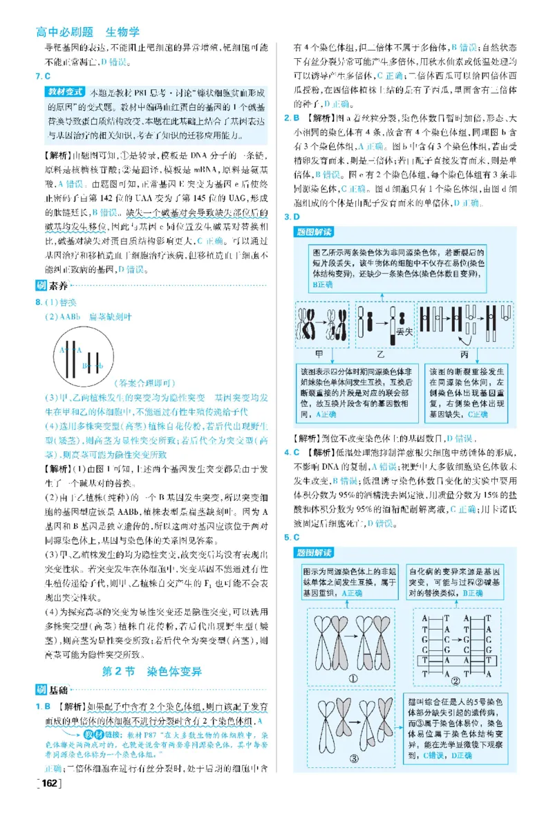 第5章基因突变及其他变异(1)_生物_2026版高中必刷题生物人教版_2026春高中必刷题生物必修2RJ_2026版高中《必刷题》教材同步版（生物）（必修2）