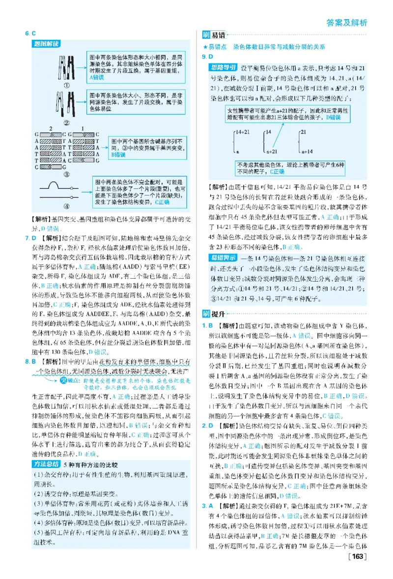 第5章基因突变及其他变异(1)_生物_2026版高中必刷题生物人教版_2026春高中必刷题生物必修2RJ_2026版高中《必刷题》教材同步版（生物）（必修2）