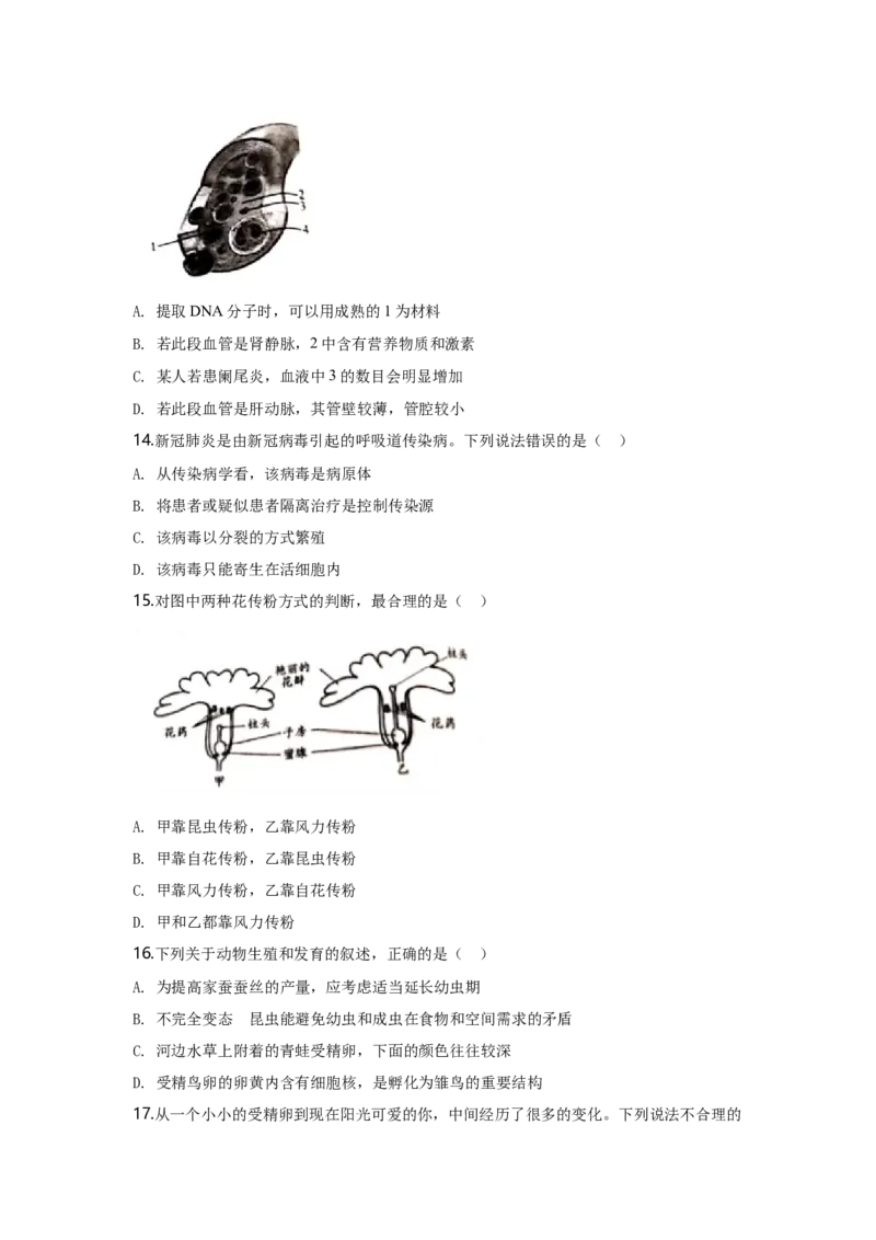 2020潍坊市中考生物试题带答案(word版)_8.生物中考真题2015-2024年_地区卷_山东省_山东潍坊中考生物08-21
