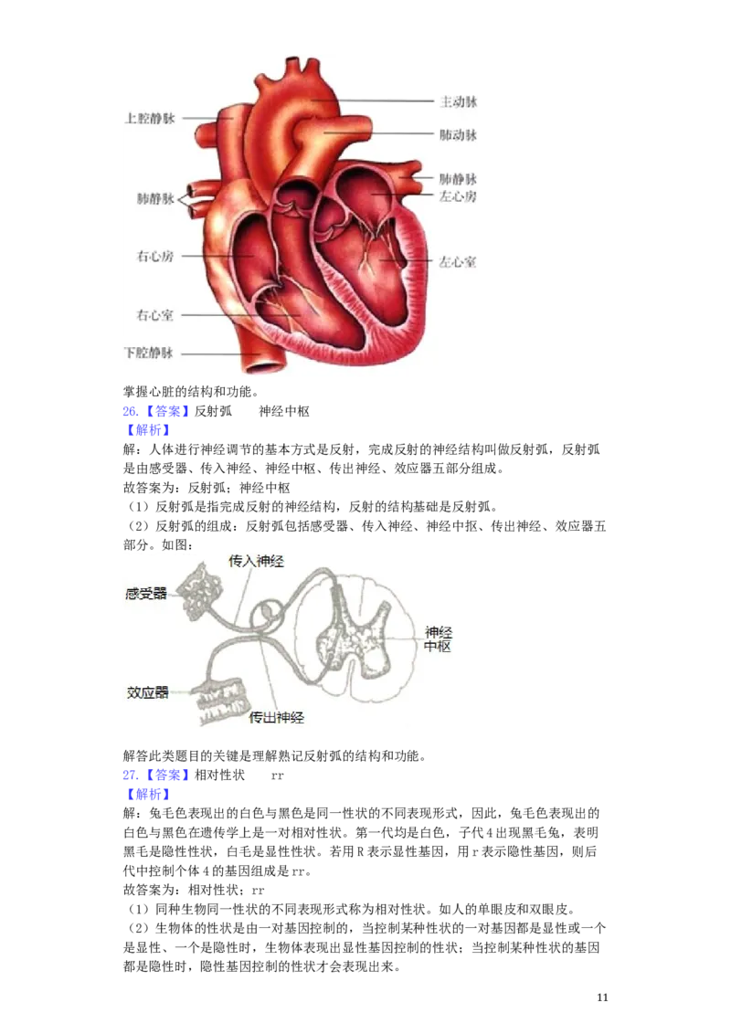 四川省乐山市2019年中考生物真题试题（含解析）_8.生物中考真题2015-2024年_2019年全国中考生物92份