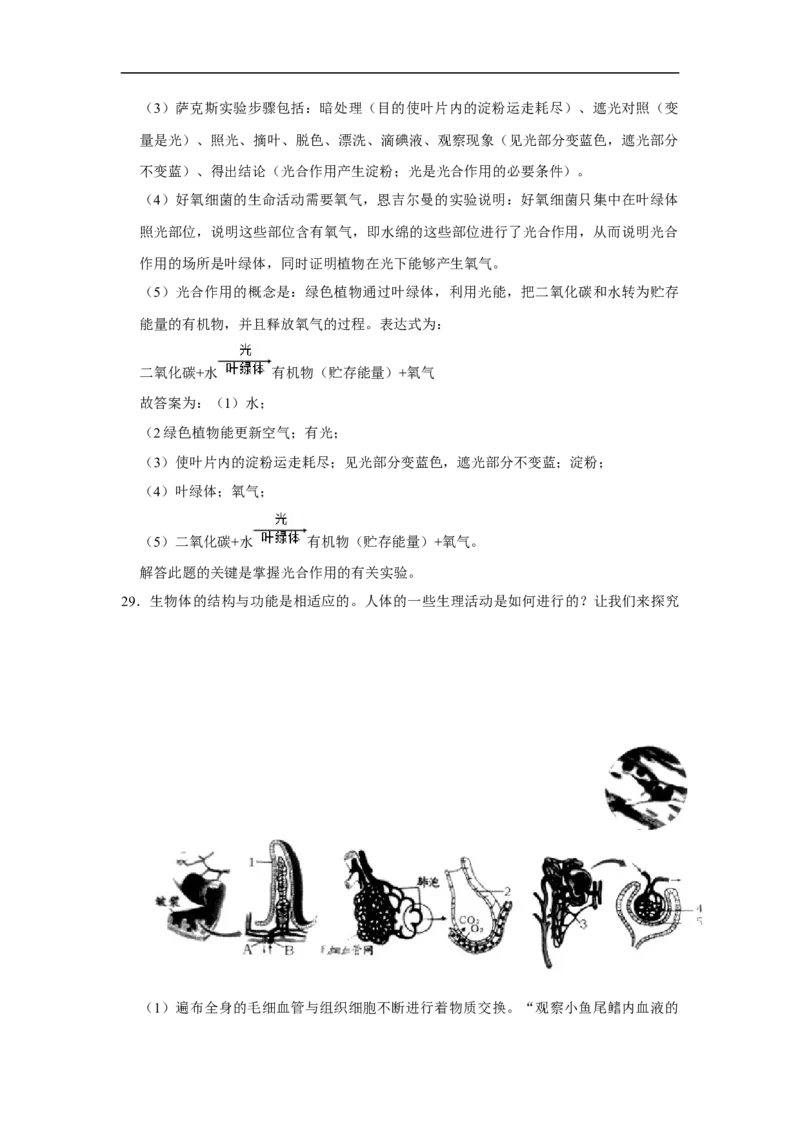 2020烟台市中考生物试题及答案(word版)_8.生物中考真题2015-2024年_地区卷_山东省_烟台中考生物08-22