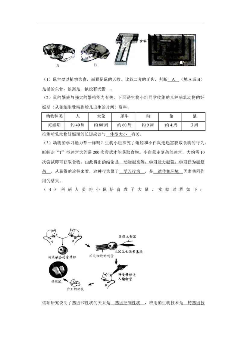 2020烟台市中考生物试题及答案(word版)_8.生物中考真题2015-2024年_地区卷_山东省_烟台中考生物08-22
