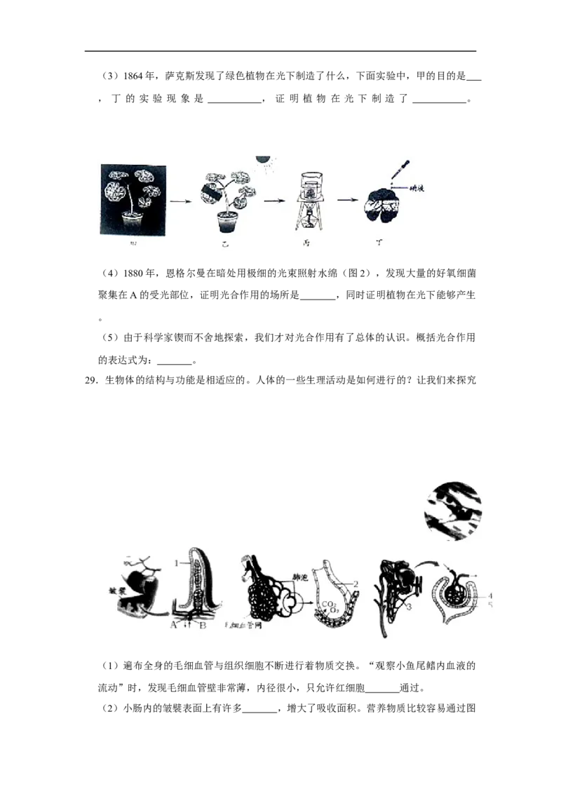 2020烟台市中考生物试题及答案(word版)_8.生物中考真题2015-2024年_地区卷_山东省_烟台中考生物08-22