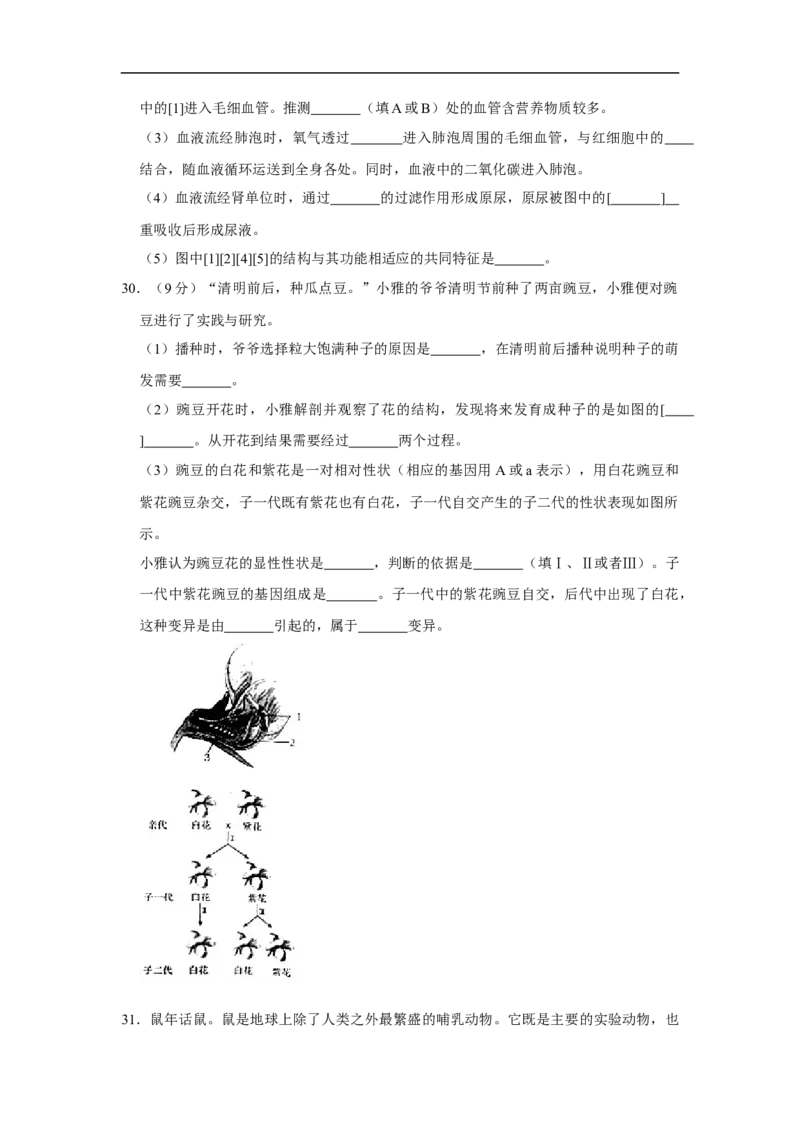 2020烟台市中考生物试题及答案(word版)_8.生物中考真题2015-2024年_地区卷_山东省_烟台中考生物08-22