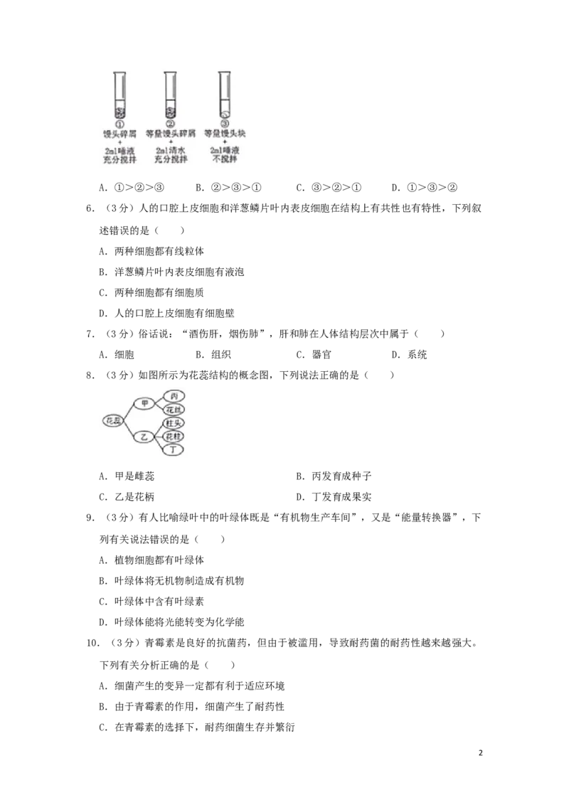 四川省绵阳市2019年中考生物真题试题（含解析）_8.生物中考真题2015-2024年_2019年全国中考生物92份