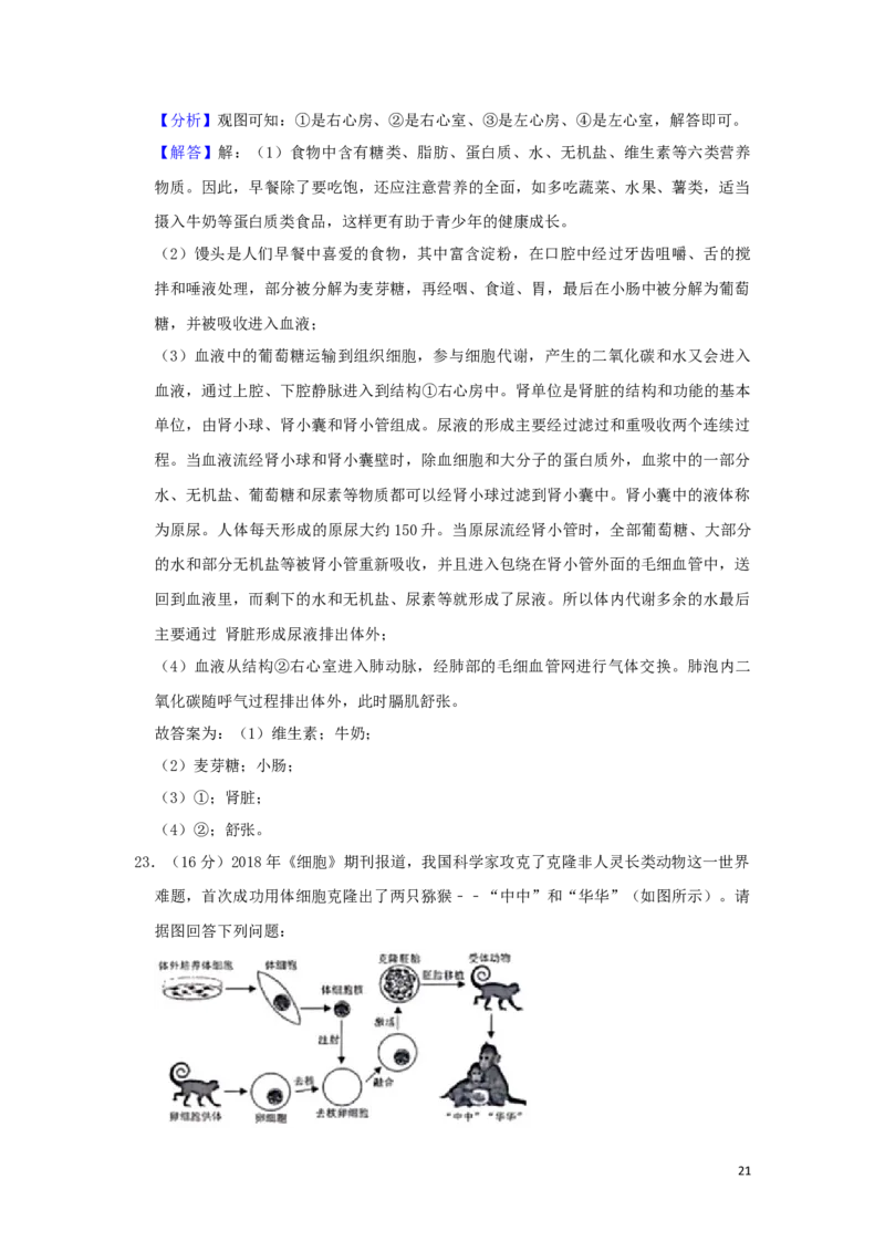 四川省绵阳市2019年中考生物真题试题（含解析）_8.生物中考真题2015-2024年_2019年全国中考生物92份
