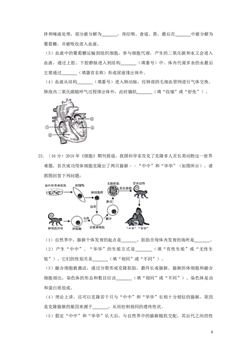 四川省绵阳市2019年中考生物真题试题（含解析）_8.生物中考真题2015-2024年_2019年全国中考生物92份