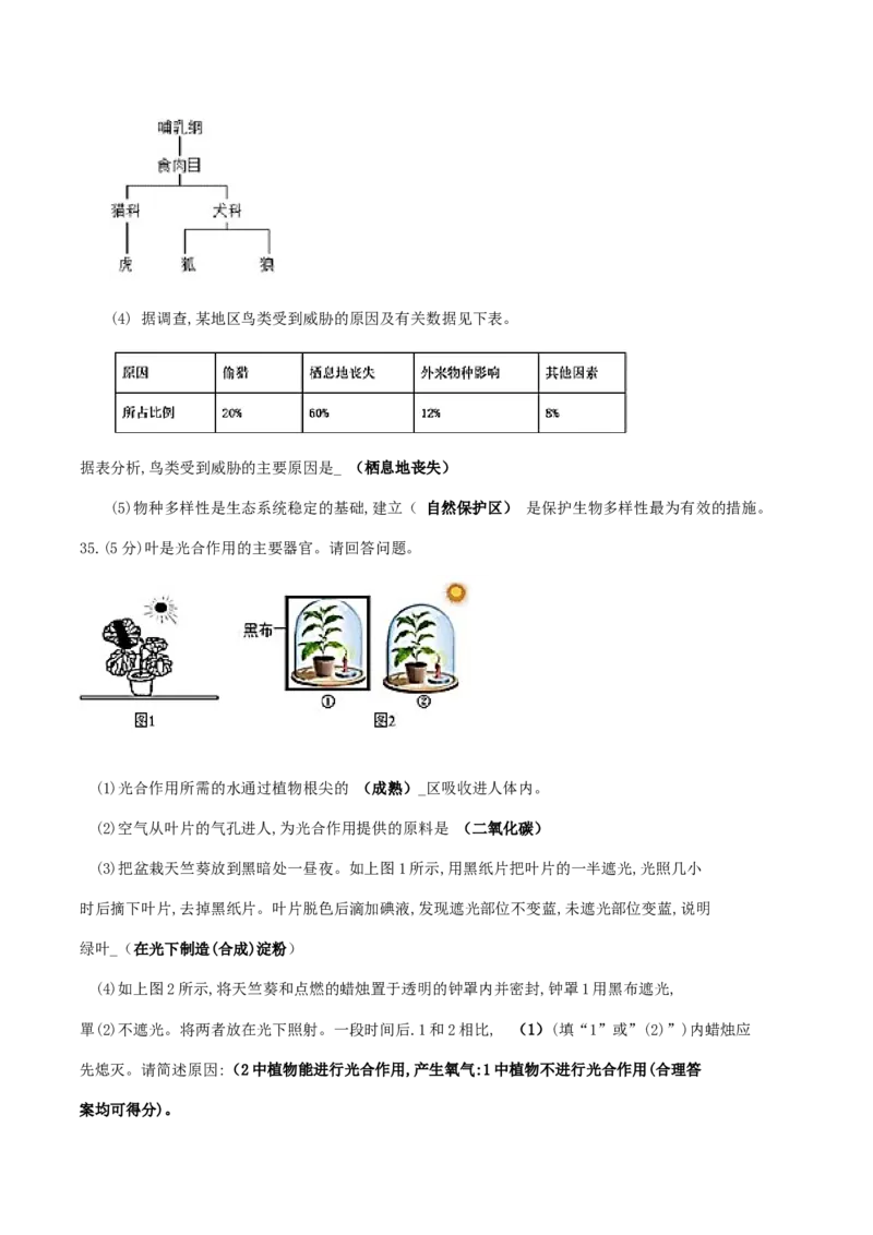2019生物答案_8.生物中考真题2015-2024年_地区卷_陕西生物19-21（陕西省统一试卷）