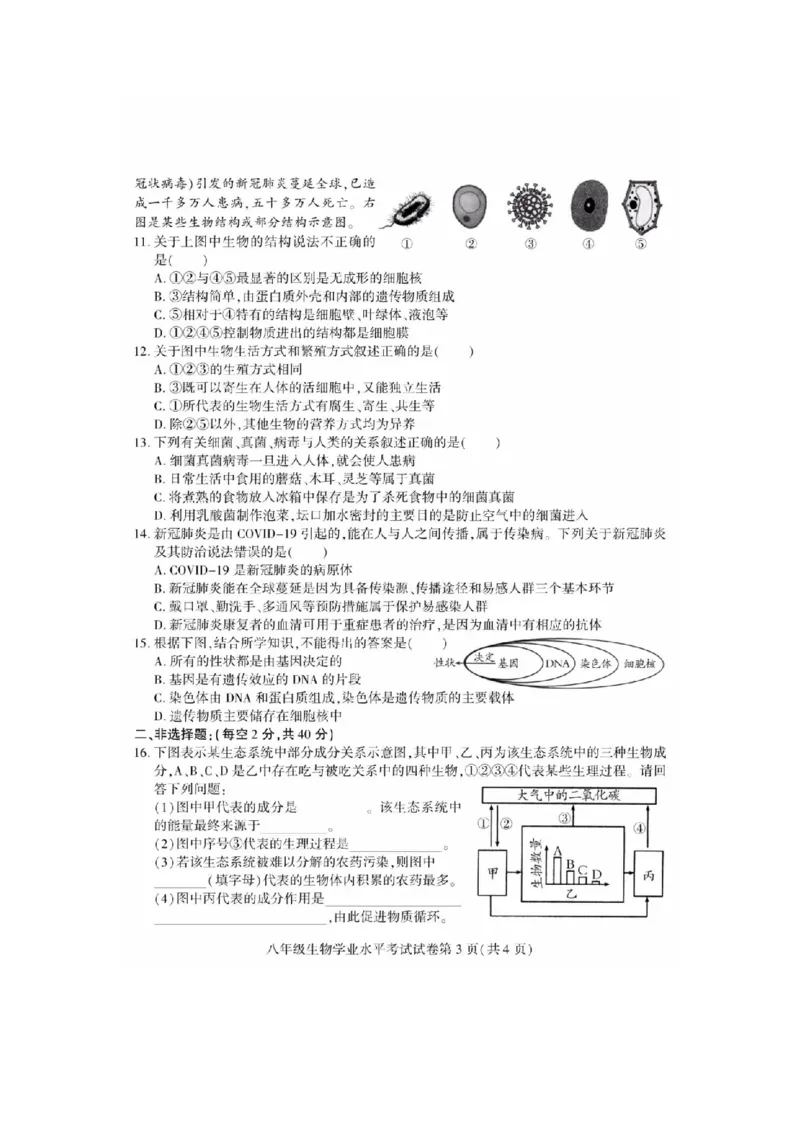 2020年四川南充中考生物真题及答案_8.生物中考真题2015-2024年_地区卷_四川省_四川南充生物17-22