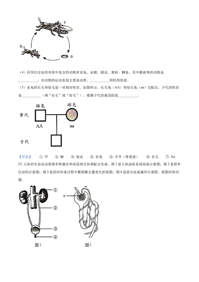 2021年吉林省中考生物试题_8.生物中考真题2015-2024年_2021中考生物真题64份_2021吉林省