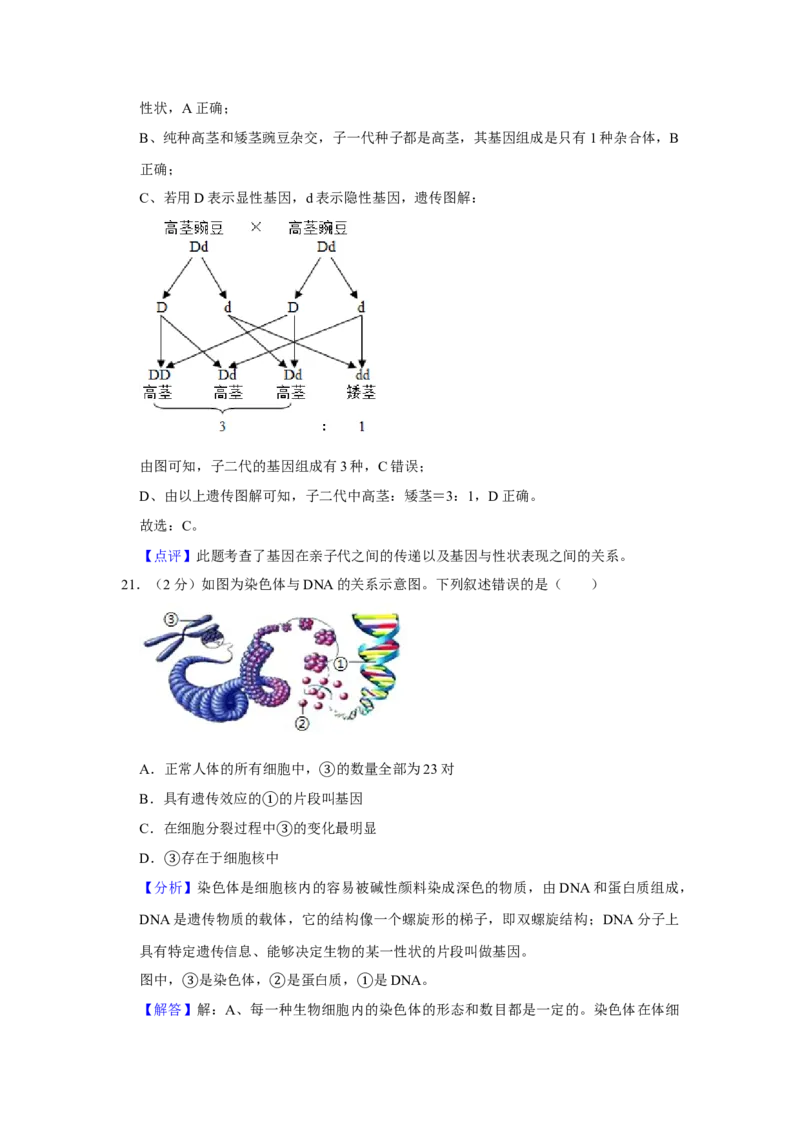 2020年聊城市中考生物试卷及答案_8.生物中考真题2015-2024年_地区卷_山东省_山东聊城生物10-22