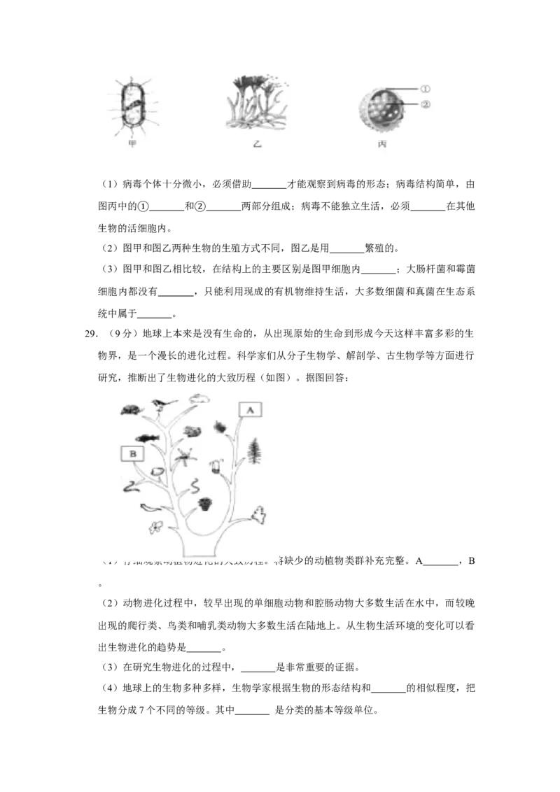 2020年聊城市中考生物试卷及答案_8.生物中考真题2015-2024年_地区卷_山东省_山东聊城生物10-22