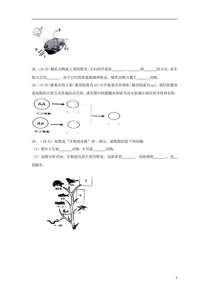 安徽省亳州市2018年中考生物真题试题（含解析）_8.生物中考真题2015-2024年_2018年全国中考生物141份