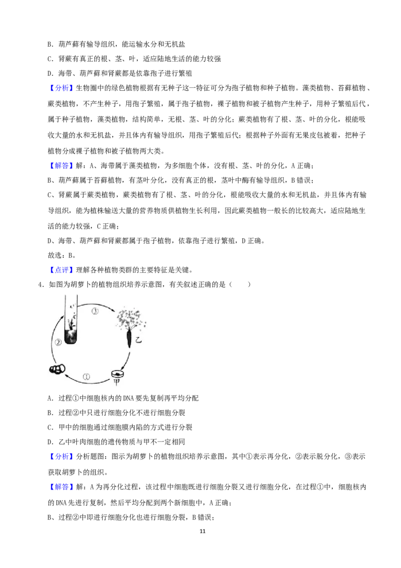 2021潍坊市中考生物试题（教师版）_8.生物中考真题2015-2024年_地区卷_山东省_山东潍坊中考生物08-21