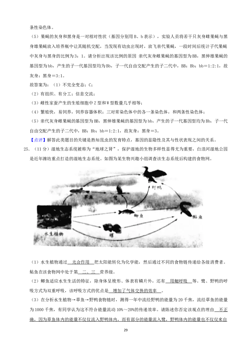 2021潍坊市中考生物试题（教师版）_8.生物中考真题2015-2024年_地区卷_山东省_山东潍坊中考生物08-21