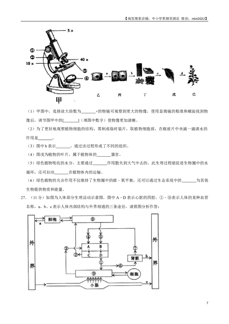 2020年内蒙古通辽市中考生物试卷（word版，含解析）_8.生物中考真题2015-2024年_2020生物真题74份