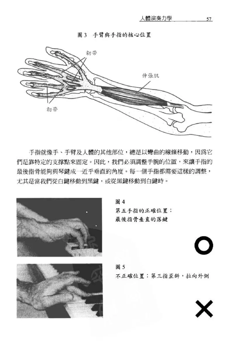 论钢琴弹奏动作、声音与表情_12830897_一万首著名钢琴曲谱哈农贝多芬合集视频教学电子版高清无水印可打印_09钢琴教材合集_常用教材钢琴谱（80+本）