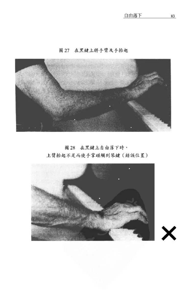 论钢琴弹奏动作、声音与表情_12830897_一万首著名钢琴曲谱哈农贝多芬合集视频教学电子版高清无水印可打印_09钢琴教材合集_常用教材钢琴谱（80+本）