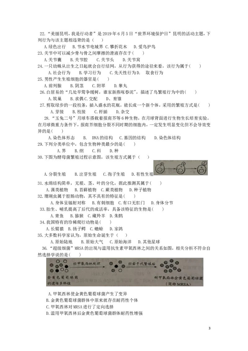 云南省昆明市2019年中考生物真题试题_8.生物中考真题2015-2024年_2019年全国中考生物92份