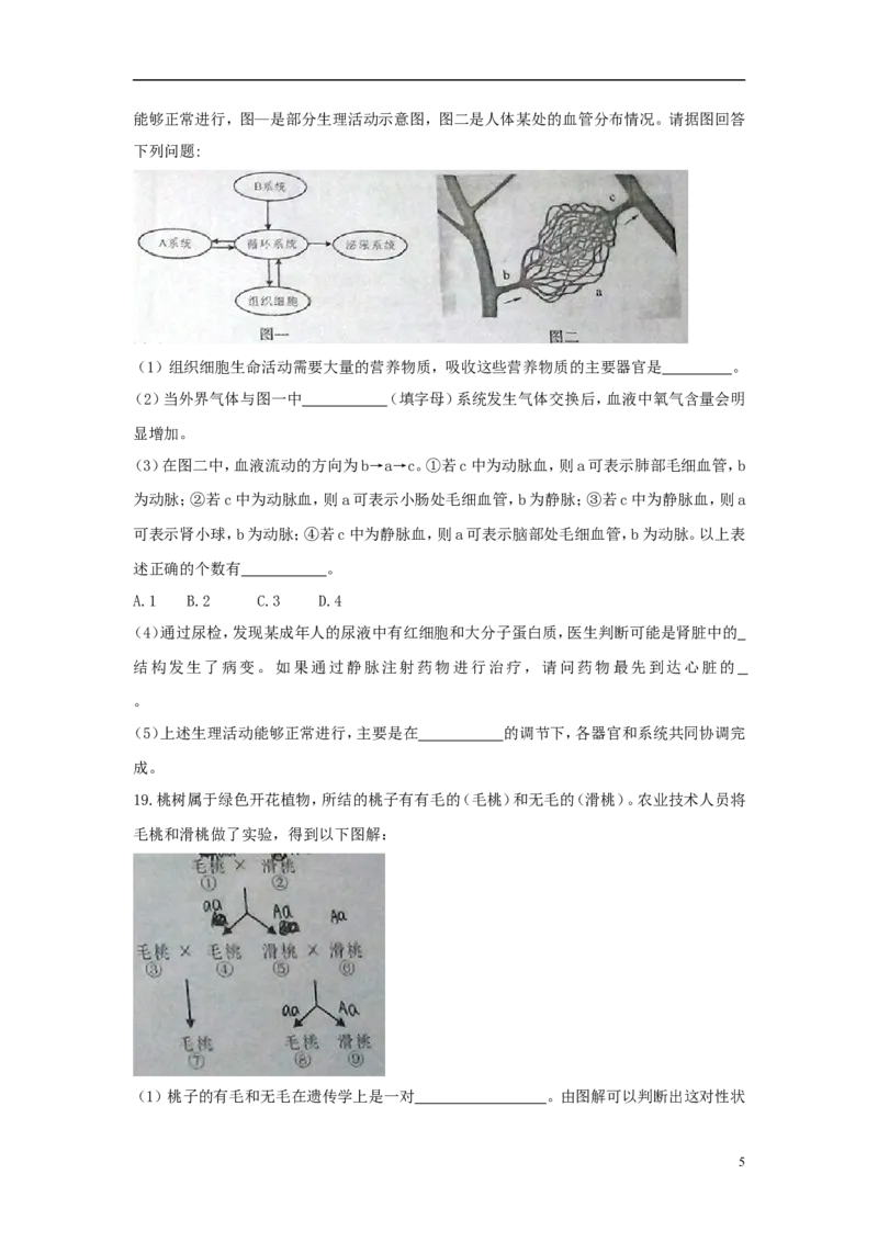四川省南充市2018年中考生物真题试题（含答案）_8.生物中考真题2015-2024年_2018年全国中考生物141份