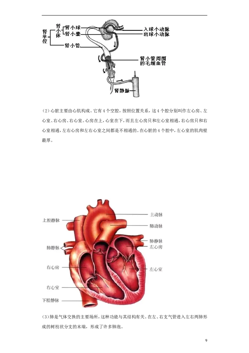四川省遂宁市2018年中考理综（生物部分）真题试题（含解析）_8.生物中考真题2015-2024年_2018年全国中考生物141份