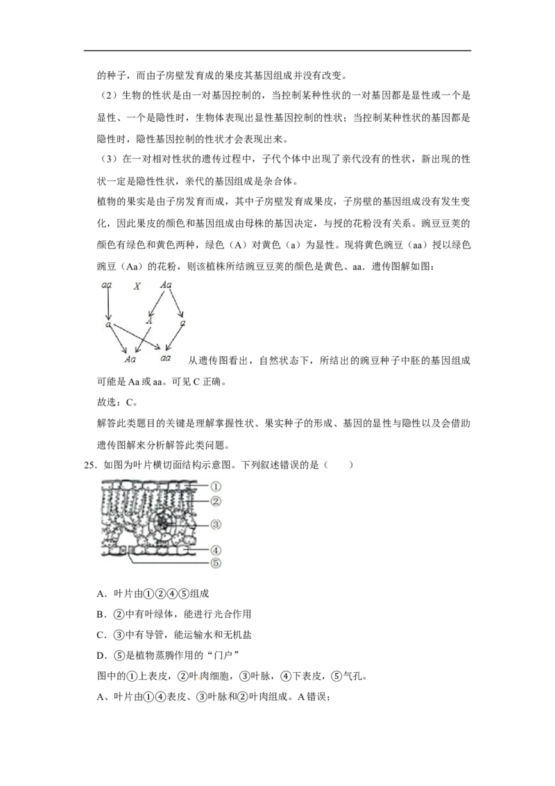 2020年山东青岛初中生物学业考试题及答案_8.生物中考真题2015-2024年_地区卷_青岛生物