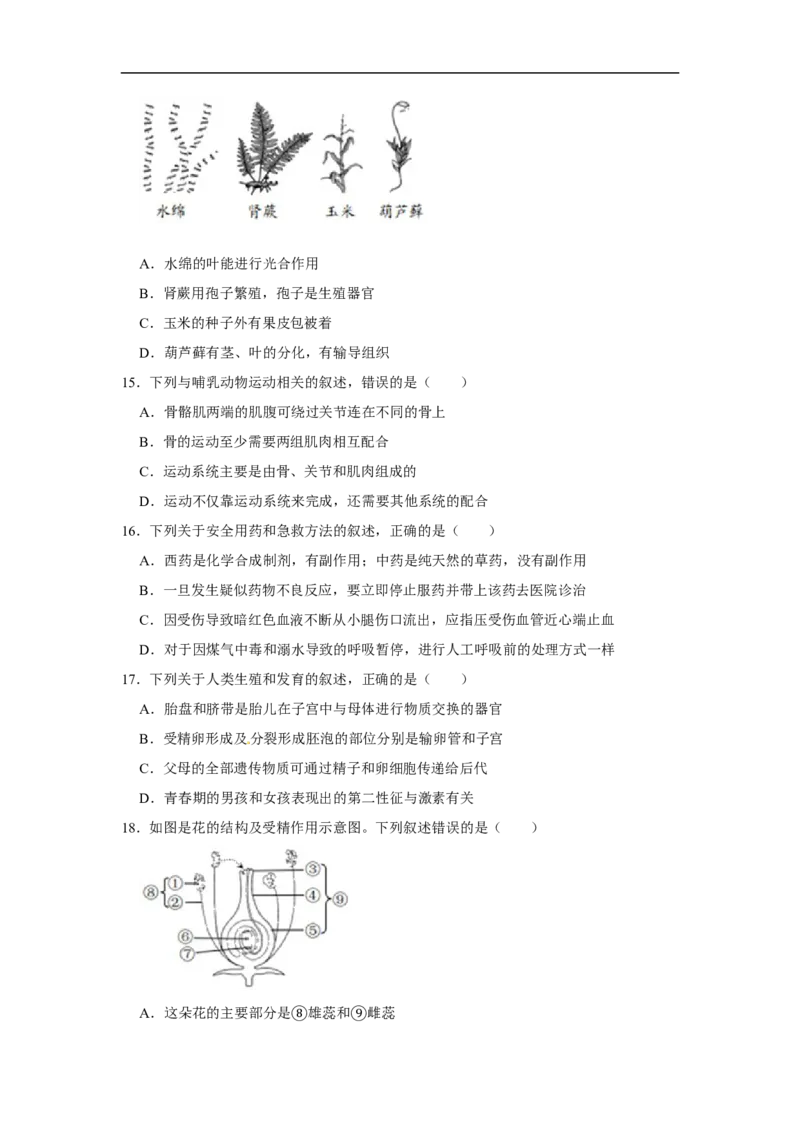 2020年山东青岛初中生物学业考试题及答案_8.生物中考真题2015-2024年_地区卷_青岛生物