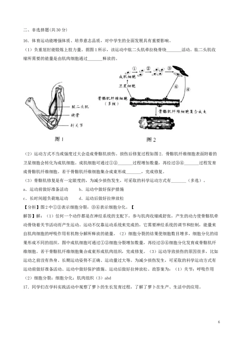 北京市2019年中考生物真题试题（含解析）_8.生物中考真题2015-2024年_2019年全国中考生物92份