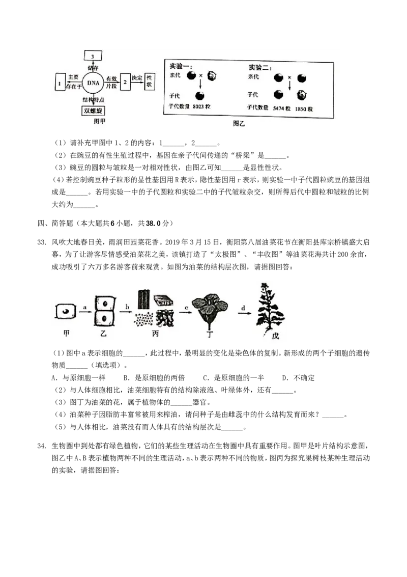 2019年湖南省衡阳市中考生物真题及答案_8.生物中考真题2015-2024年_地区卷_湖南省_湖南衡阳生物17-22