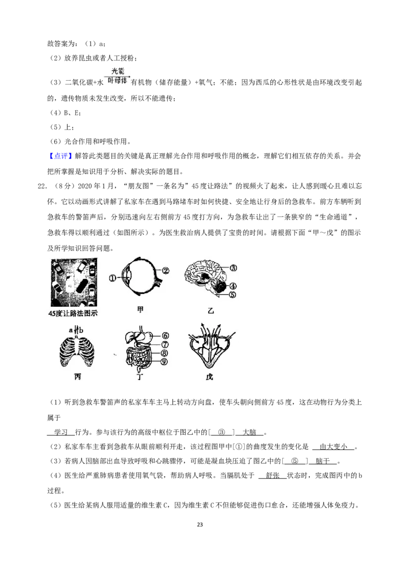 2021年山东省菏泽市中考生物真题（word，解析版）_8.生物中考真题2015-2024年_2021中考生物真题64份_2021山东省