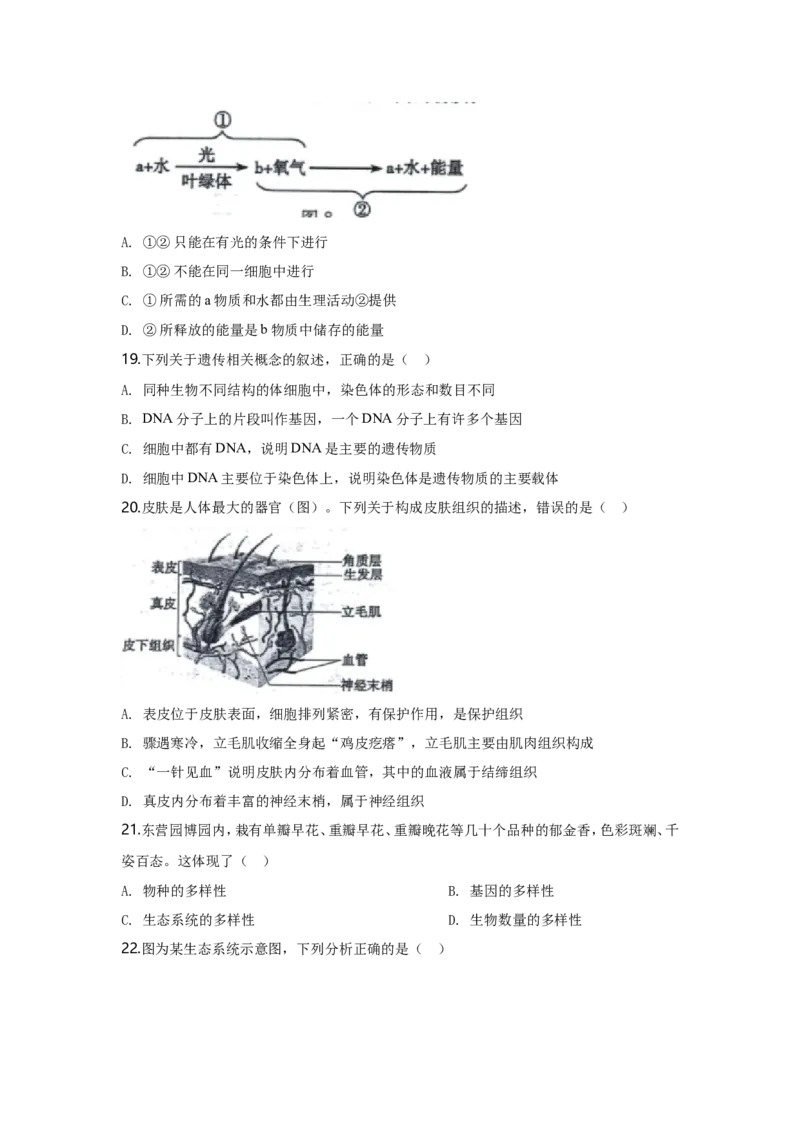 2020年山东省东营市中考生物试题(word版含答案)_8.生物中考真题2015-2024年_地区卷_山东省_东营中考生物09-22