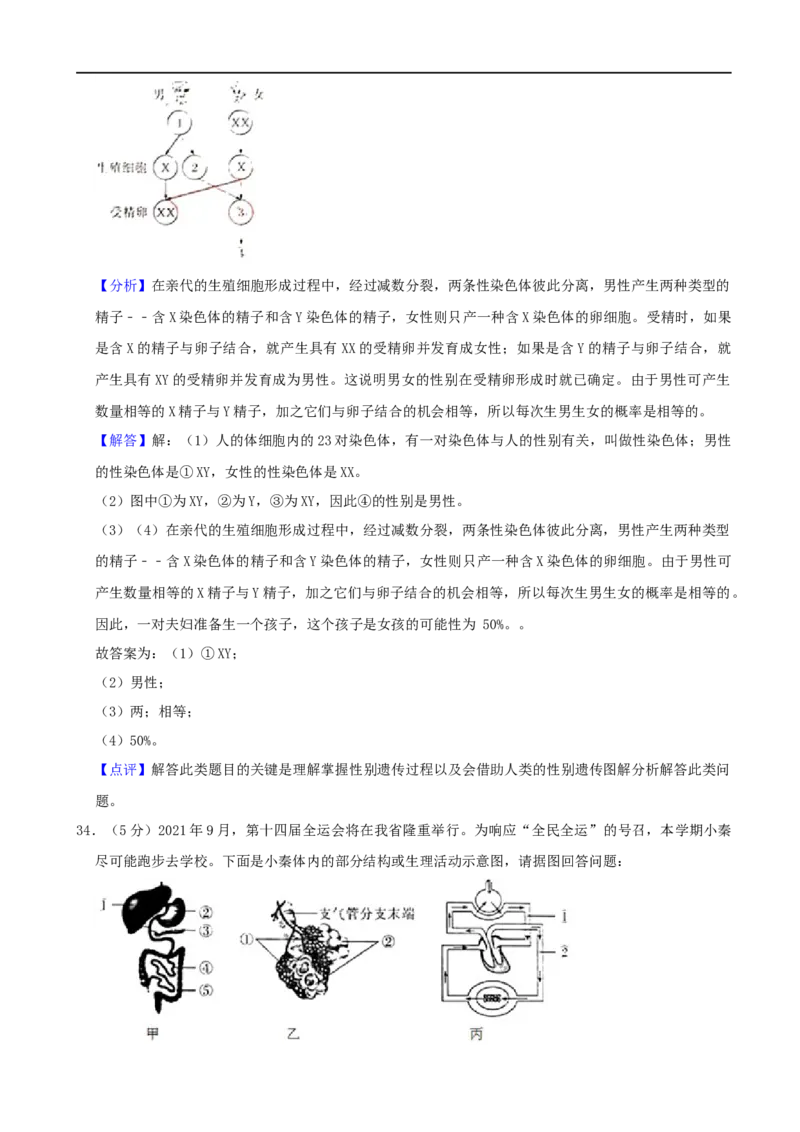 2021年陕西省中考生物真题（word版，含解析）_8.生物中考真题2015-2024年_2021中考生物真题64份_2021陕西