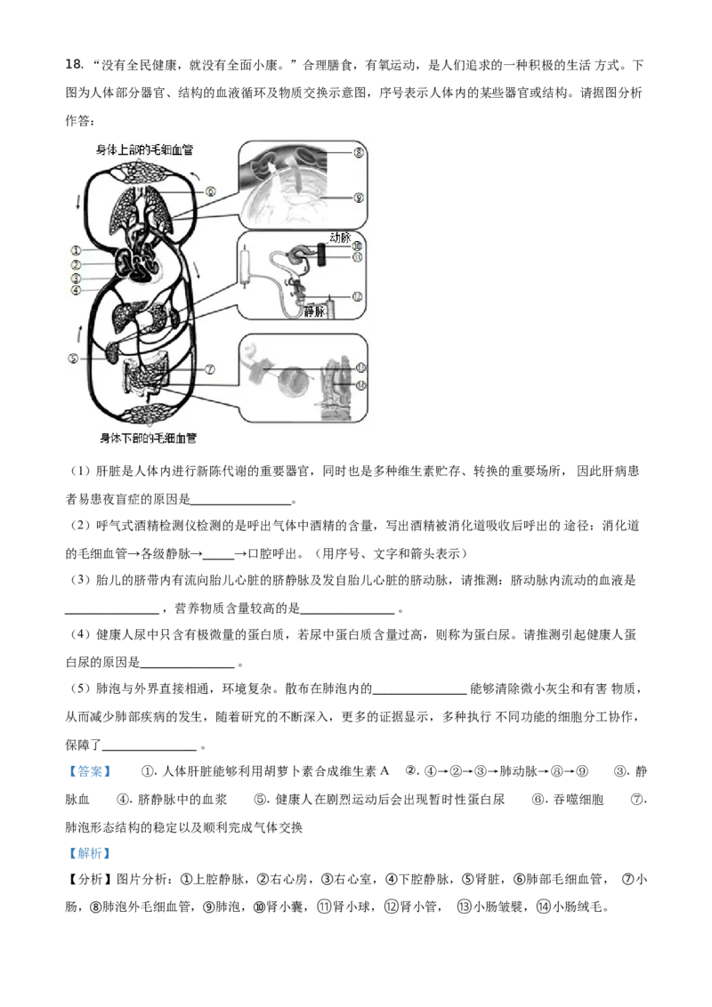 内蒙古呼和浩特市2021年会考生物试题（解析版）_8.生物中考真题2015-2024年_地区卷_呼和浩特生物（只有2021）
