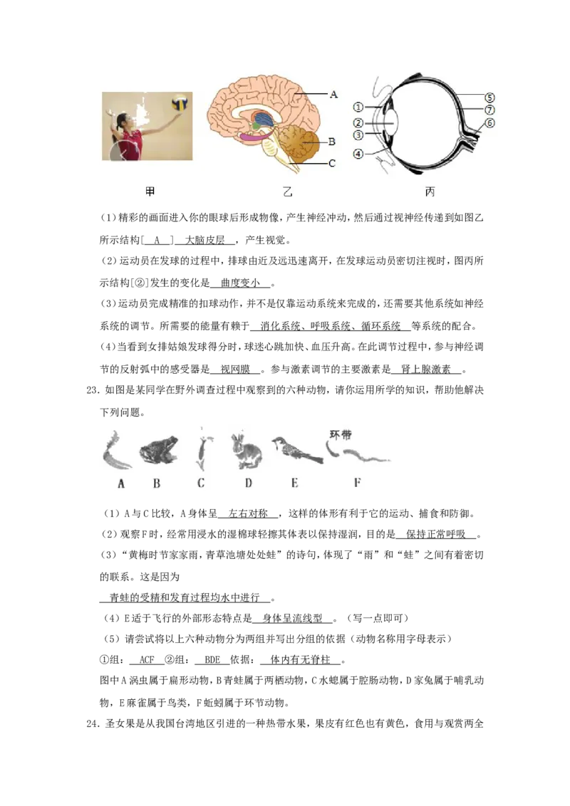 2020年湖南张家界中考生物试题及答案_8.生物中考真题2015-2024年_地区卷_湖南省_湖南张家界生物18-21