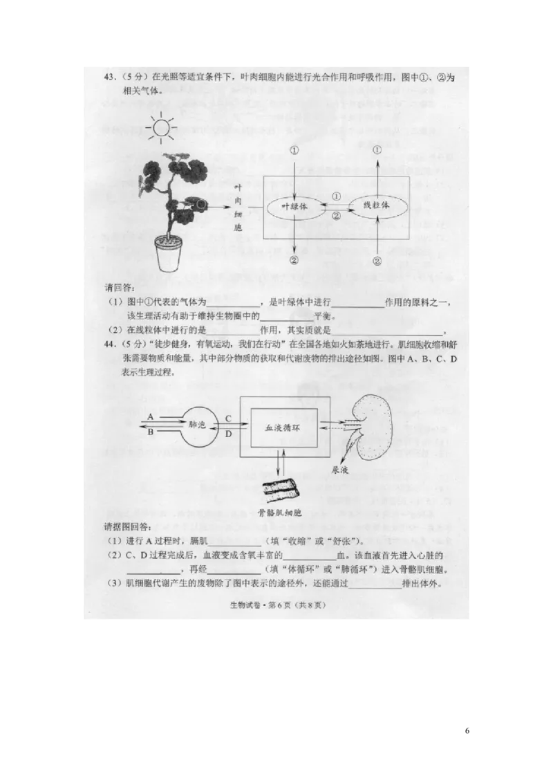 云南省昆明市2016年中考生物真题试题（扫描版，含答案）_8.生物中考真题2015-2024年_2016年全国中考生物74份