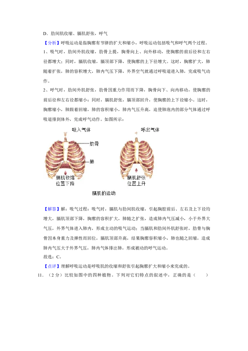 2020年中考生物试卷解析版_8.生物中考真题2015-2024年_地区卷_山东省_山东德州生物11-20