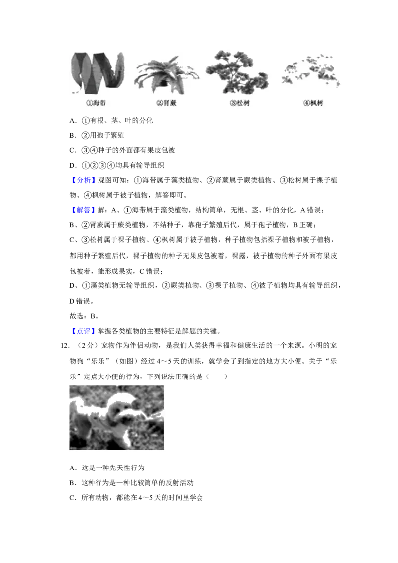 2020年中考生物试卷解析版_8.生物中考真题2015-2024年_地区卷_山东省_山东德州生物11-20