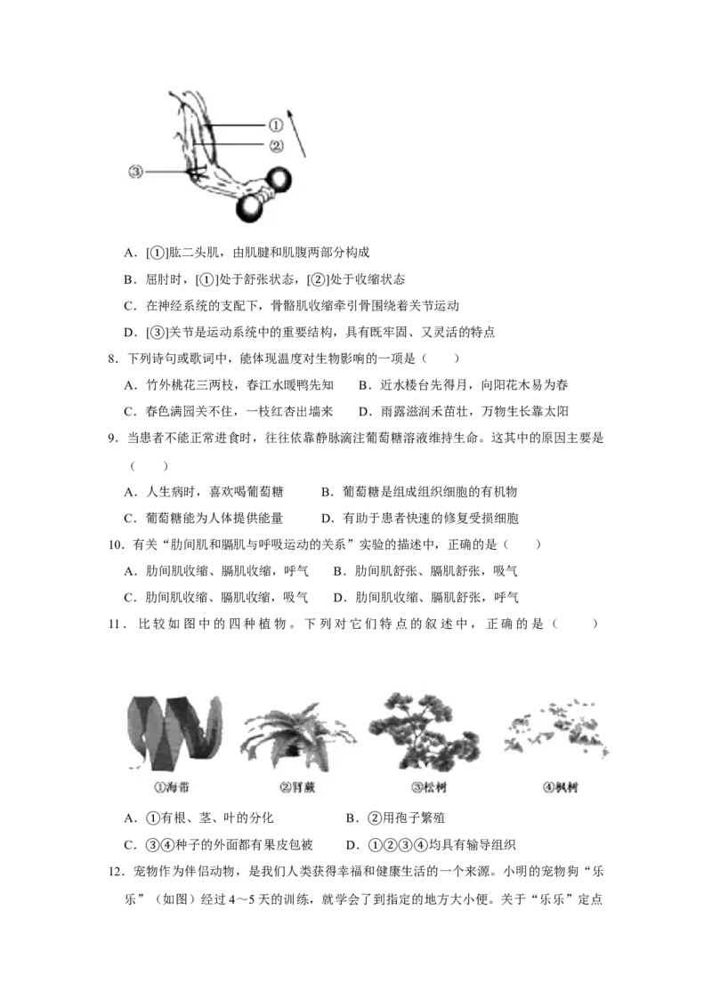 2020年中考生物试卷解析版_8.生物中考真题2015-2024年_地区卷_山东省_山东德州生物11-20
