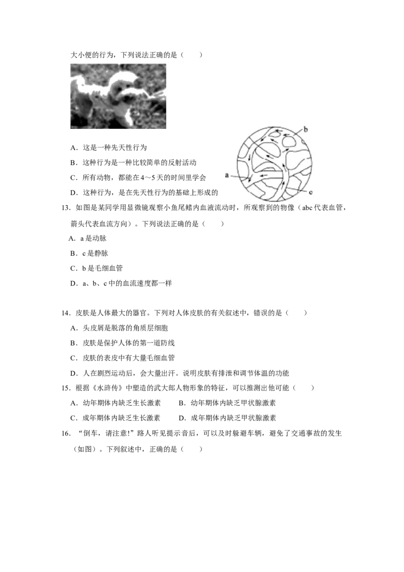 2020年中考生物试卷解析版_8.生物中考真题2015-2024年_地区卷_山东省_山东德州生物11-20